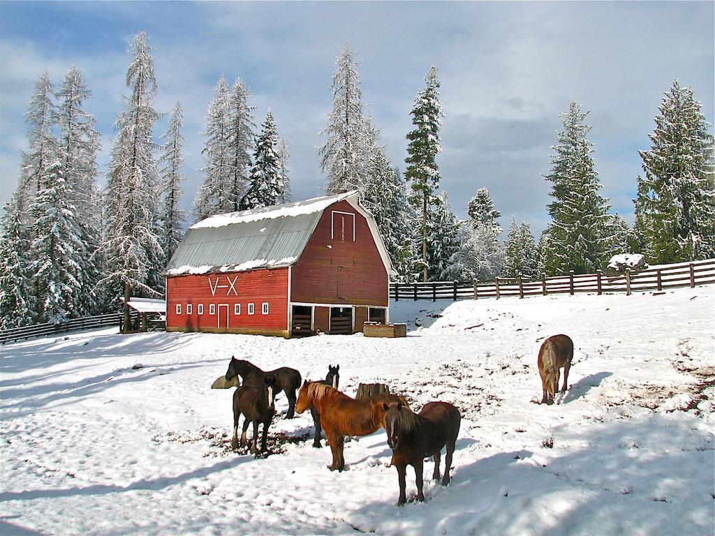 סנדפוינט Western Pleasure Guest Ranch מראה חיצוני תמונה
